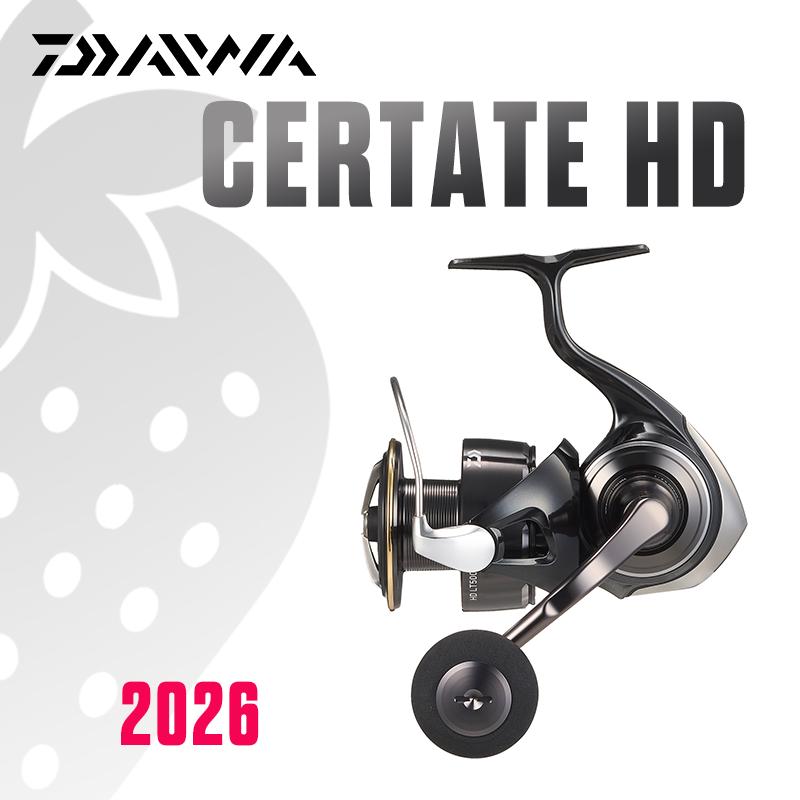 DAIWA 2026 Certate HD Fishing  - Daiwa Reel Bg review and price